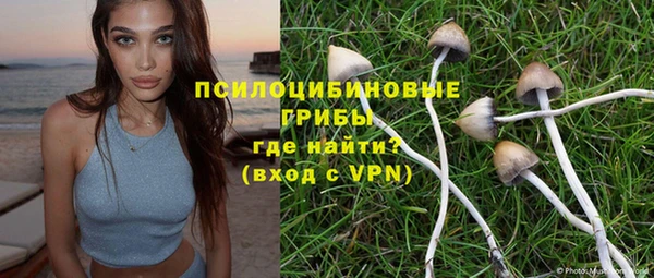 твердый Майский