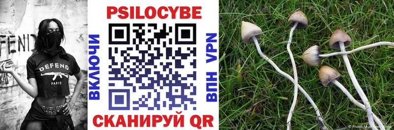 Псилоцибиновые грибы Psilocybine cubensis  кракен ТОР  Тара 