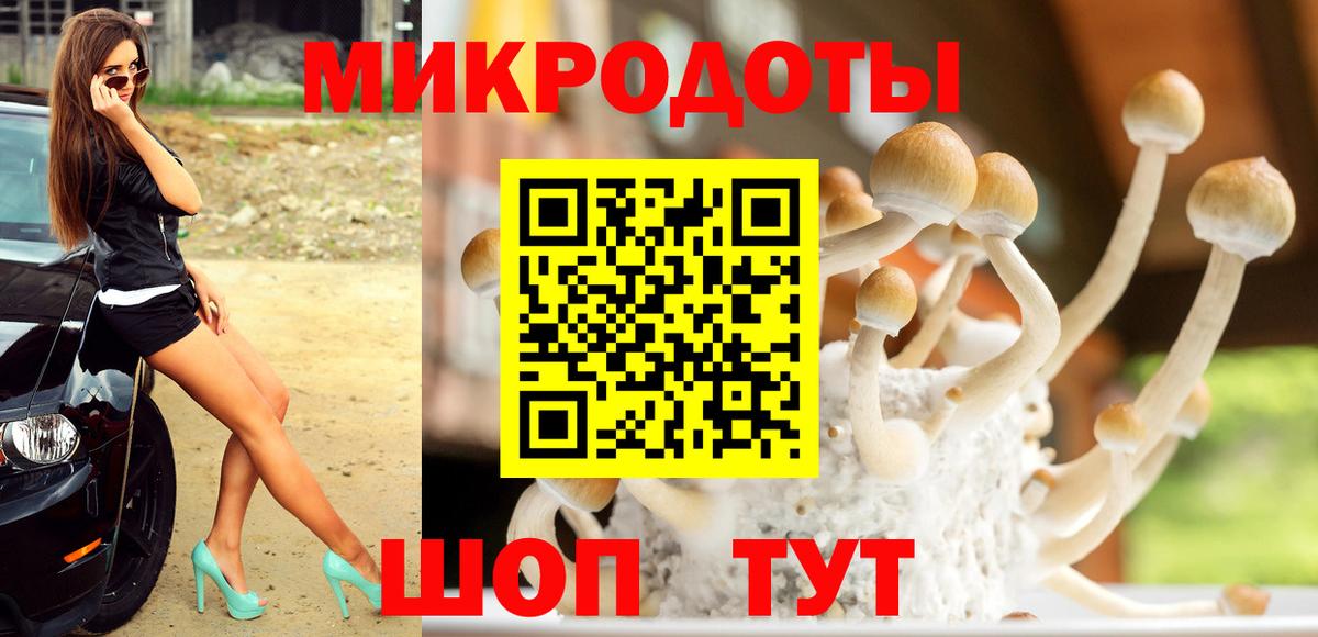 Тара  Галлюциногенные грибы Magic Shrooms  Вход с VPN 